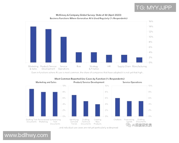 北京羽毛球队灵活性引发热议球员表现与战术调整的深度探讨