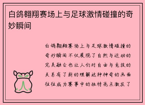 白鸽翱翔赛场上与足球激情碰撞的奇妙瞬间